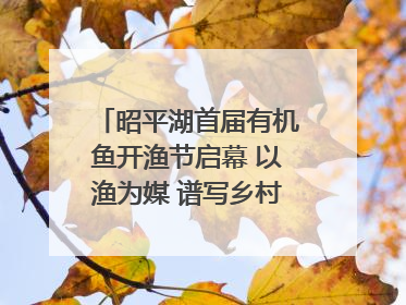 昭平湖首届有机鱼开渔节启幕 以渔为媒 谱写乡村振兴新篇章