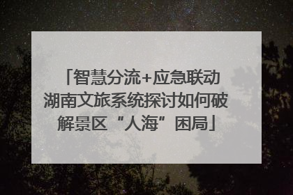智慧分流+应急联动 湖南文旅系统探讨如何破解景区“人海”困局