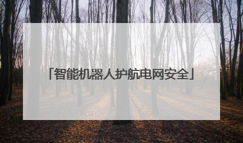 智能机器人护航电网安全