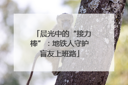 晨光中的“接力棒”：地铁人守护盲友上班路