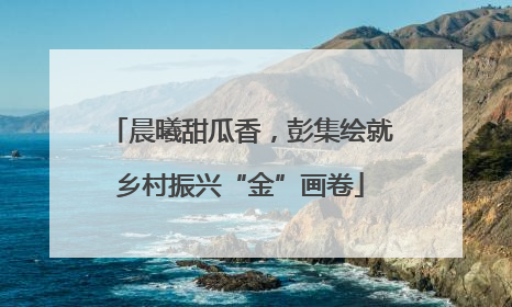 晨曦甜瓜香，彭集绘就乡村振兴“金”画卷