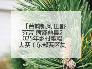 曹韵新风 田野芬芳 菏泽曹县2025年乡村歌唱大赛（东部赛区复赛）举办
