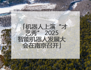 机器人上演“才艺秀” 2025智能机器人发展大会在南京召开