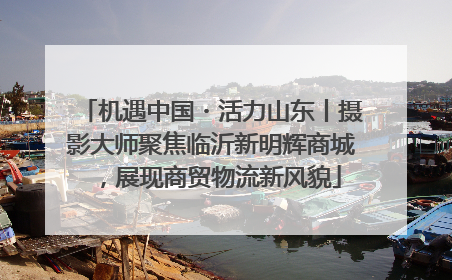 机遇中国・活力山东丨摄影大师聚焦临沂新明辉商城，展现商贸物流新风貌