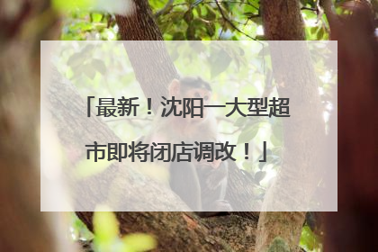 最新！沈阳一大型超市即将闭店调改！