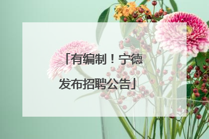 有编制！宁德发布招聘公告