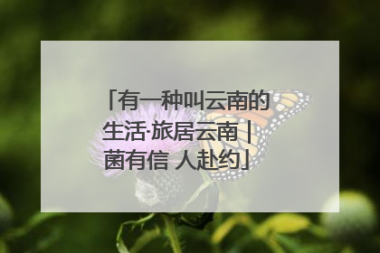 有一种叫云南的生活·旅居云南｜菌有信 人赴约
