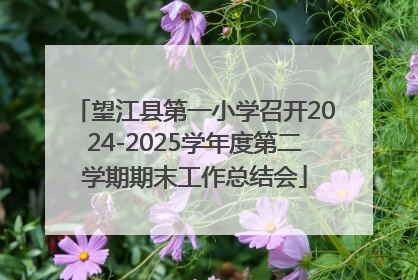 望江县第一小学召开2024-2025学年度第二学期期末工作总结会