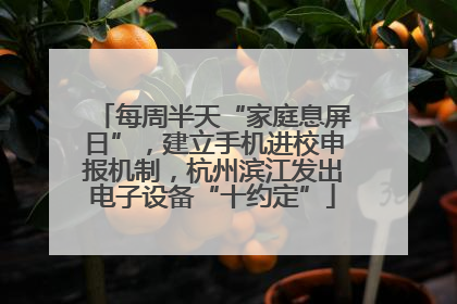 每周半天“家庭息屏日”，建立手机进校申报机制，杭州滨江发出电子设备“十约定”