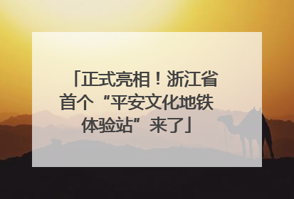 正式亮相！浙江省首个“平安文化地铁体验站”来了