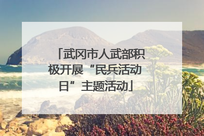 武冈市人武部积极开展“民兵活动日”主题活动