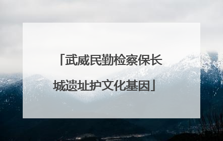武威民勤检察保长城遗址护文化基因