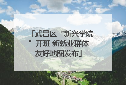 武昌区“新兴学院”开班 新就业群体友好地图发布