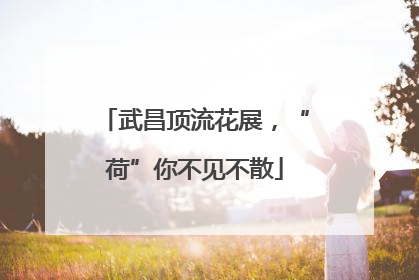 武昌顶流花展，“荷”你不见不散