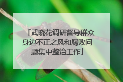 武晓花调研督导群众身边不正之风和腐败问题集中整治工作