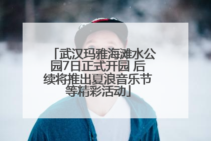 武汉玛雅海滩水公园7日正式开园 后续将推出夏浪音乐节等精彩活动