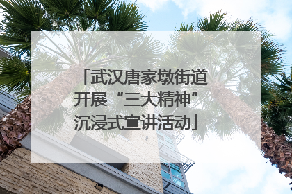 武汉唐家墩街道开展“三大精神”沉浸式宣讲活动