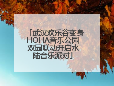 武汉欢乐谷变身HOHA音乐公园 双园联动开启水陆音乐派对