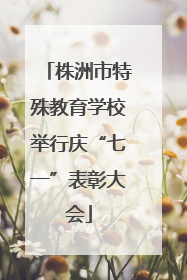 株洲市特殊教育学校举行庆“七一”表彰大会