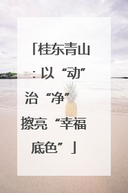 桂东青山：以“动”治“净” 擦亮“幸福底色”