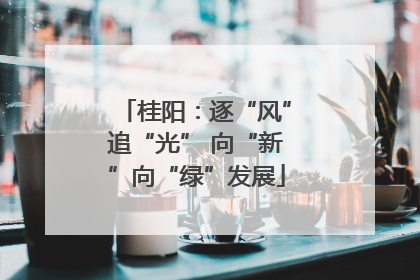 桂阳：逐“风”追“光” 向“新”向“绿”发展