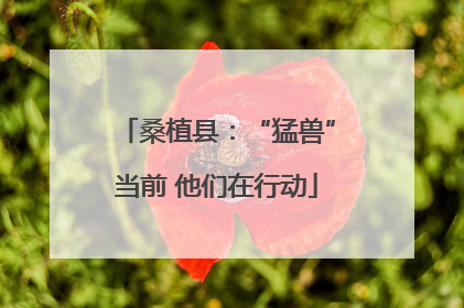 桑植县：“猛兽”当前 他们在行动