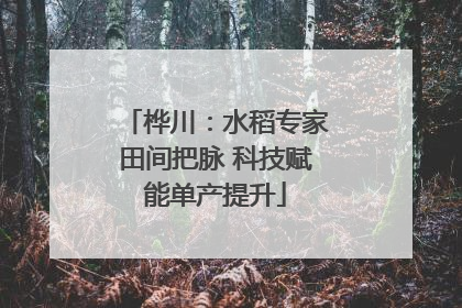 桦川：水稻专家田间把脉 科技赋能单产提升