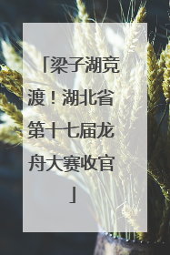 梁子湖竞渡！湖北省第十七届龙舟大赛收官