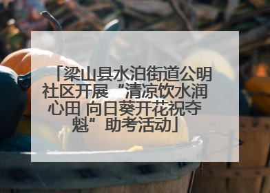 梁山县水泊街道公明社区开展“清凉饮水润心田 向日葵开花祝夺魁”助考活动