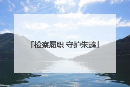 检察履职 守护朱鹮