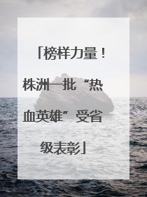 榜样力量！株洲一批“热血英雄”受省级表彰