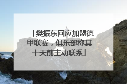 樊振东回应加盟德甲联赛，俱乐部称其十天前主动联系