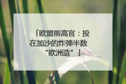 欧盟前高官：投在加沙的炸弹半数“欧洲造”