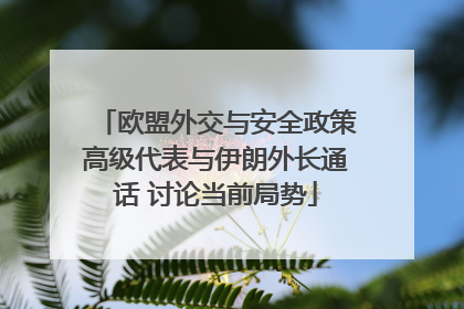 欧盟外交与安全政策高级代表与伊朗外长通话 讨论当前局势
