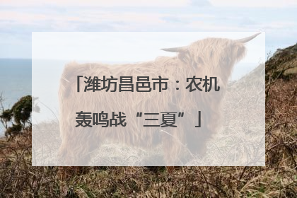 潍坊昌邑市：农机轰鸣战“三夏”