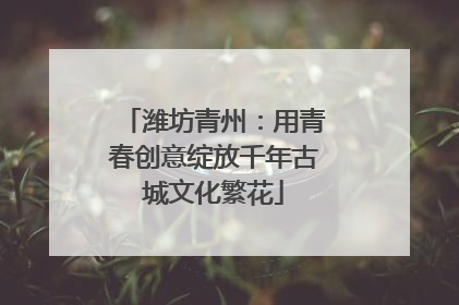 潍坊青州：用青春创意绽放千年古城文化繁花