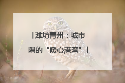 潍坊青州：城市一隅的“暖心港湾”