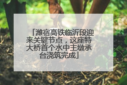 潍宿高铁临沂段迎来关键节点，这座特大桥首个水中主墩承台浇筑完成