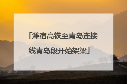 潍宿高铁至青岛连接线青岛段开始架梁