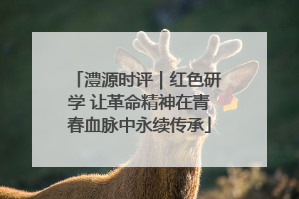 澧源时评｜红色研学 让革命精神在青春血脉中永续传承