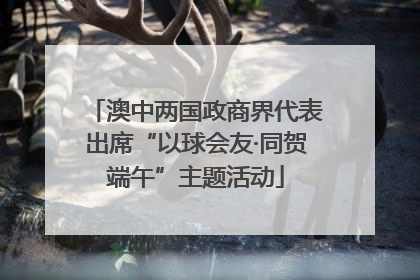 澳中两国政商界代表出席“以球会友·同贺端午”主题活动