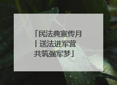民法典宣传月丨送法进军营 共筑强军梦