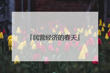 民营经济的春天