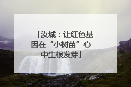 汝城：让红色基因在“小树苗”心中生根发芽