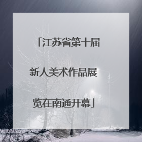 江苏省第十届新人美术作品展览在南通开幕