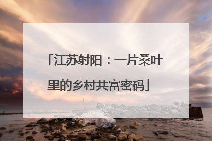 江苏射阳：一片桑叶里的乡村共富密码