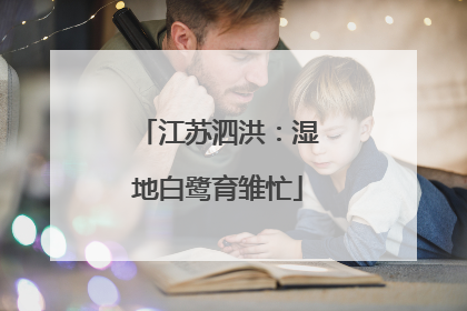 江苏泗洪：湿地白鹭育雏忙