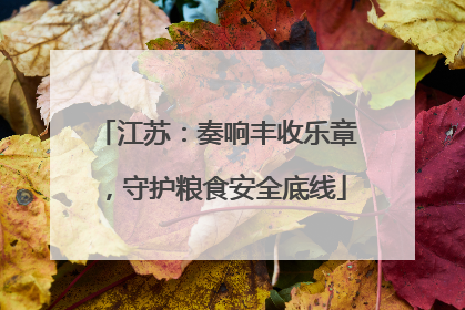 江苏：奏响丰收乐章，守护粮食安全底线