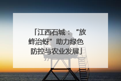 江西石城：“放蜂治蚜”助力绿色防控与农业发展