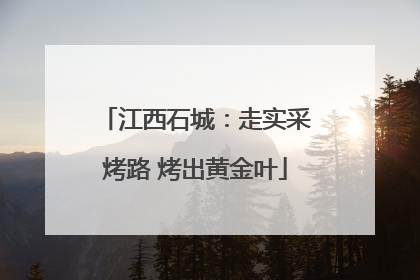 江西石城：走实采烤路 烤出黄金叶
